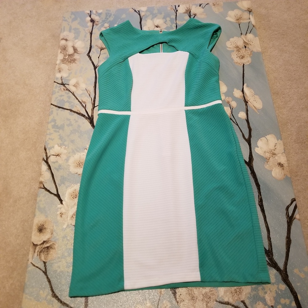 BEAUTIFUL SANDRA DARREN DRESS